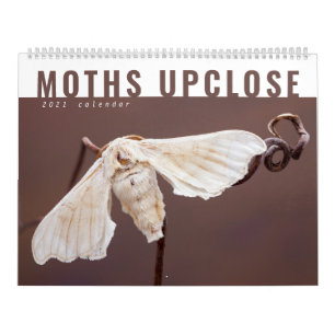 MOTHS UPCLOSE 2021 CALENDAR
