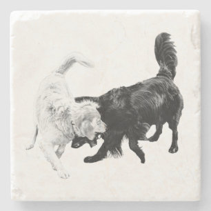 Motion Between Friends Stone Coaster