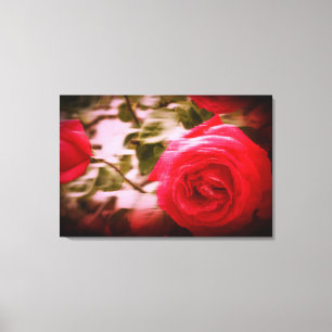 MOTION COLOR of tree roses on Canvas Print