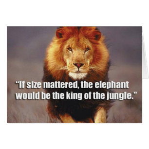 Motivaitonal Fitness Gym