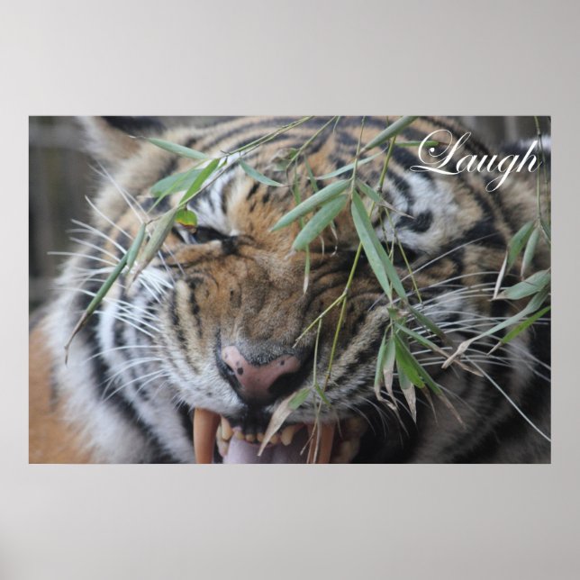 Motivate, Motivational, Laugh Poster (Front)