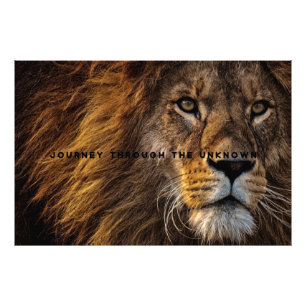 Motivational and Inspirational Art of Lion Photo Print
