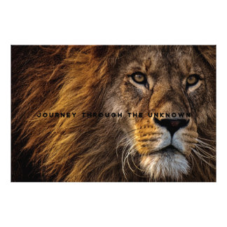 Motivational and Inspirational Art of Lion  Photo Print
