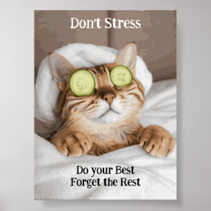 Motivational Funny Inspirational Cat Poster