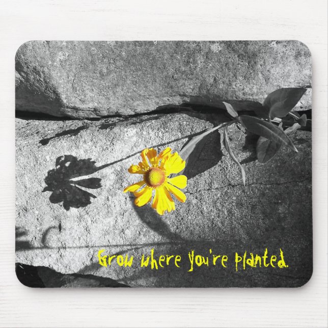 Motivational "Grow where you're planted"  Mousepad (Front)