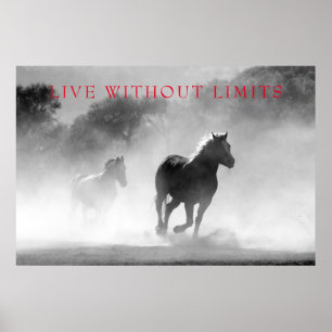 Motivational Horses Live Without Limits Poster