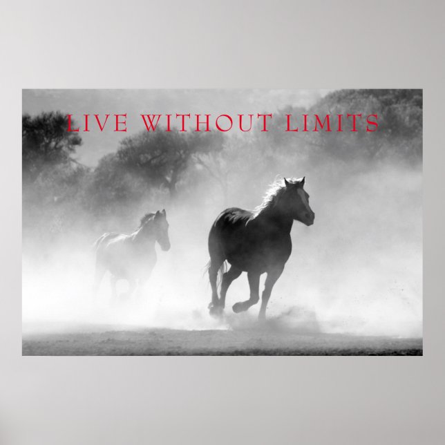 Motivational Horses Live Without Limits Poster (Front)