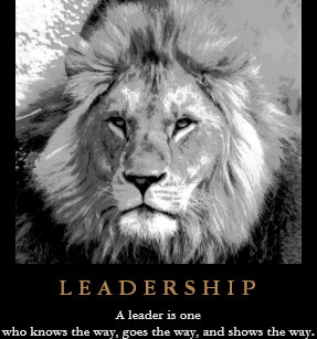 Lion Quote Posters Photo Prints Zazzle Au Lion Quote Posters Photo Prints Zazzle Au