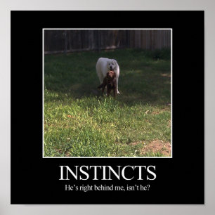 Motivational Poster, INSTINCTS Poster