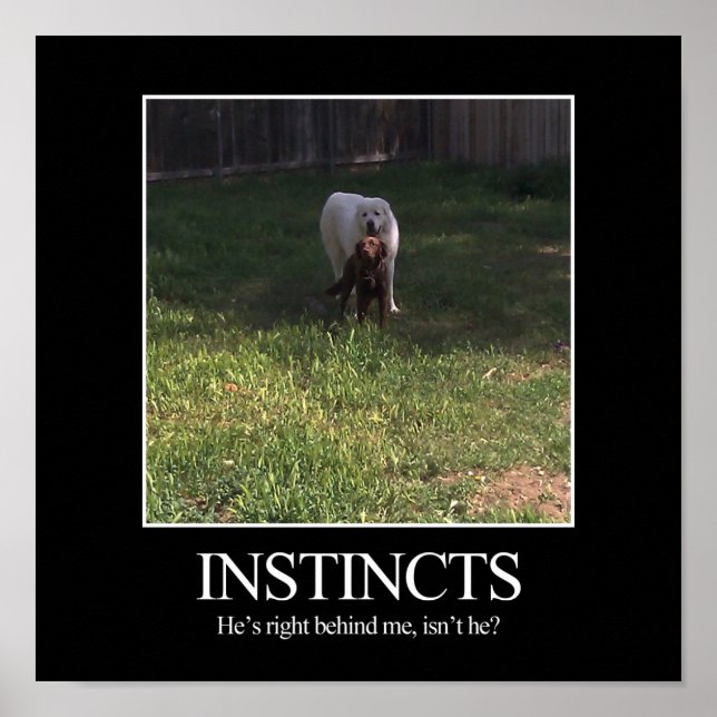 Motivational Poster, INSTINCTS Poster (Front)