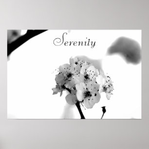 Motivational Poster-Serenity Poster