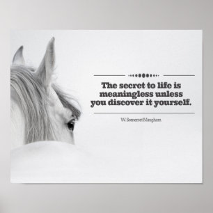 Motivational Poster "The Secret to Life..."