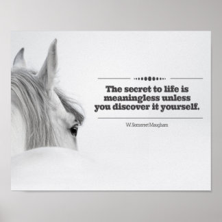 Motivational Poster "The Secret to Life..."