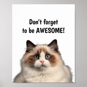 Motivational Quote, Don't forget to be awesome cat Poster