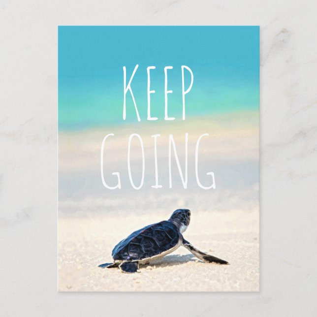 Motivational Quote Keep Going Turtle Post Card (Front)