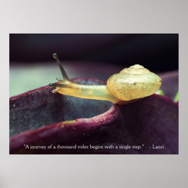 Motivational Quote Perseverance Persistence Poster (Front)