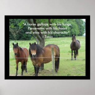 Motivational Quote with Horses Poster