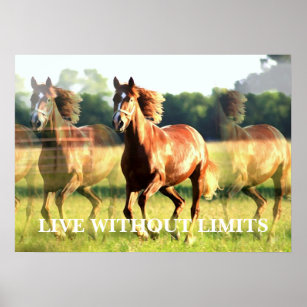 Motivational Running Horse Live Without Limits Poster