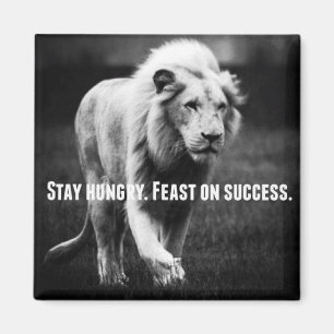 Motivational Words - Stay Hungry, Fest on Success Magnet