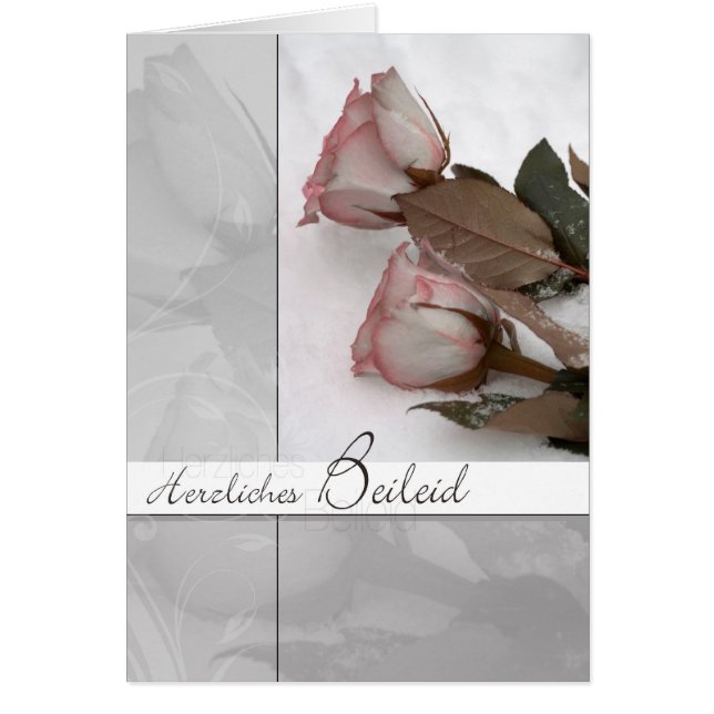 motive for mourning: roses in the snow (Front)