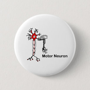 Motor Neuron 6 Cm Round Badge