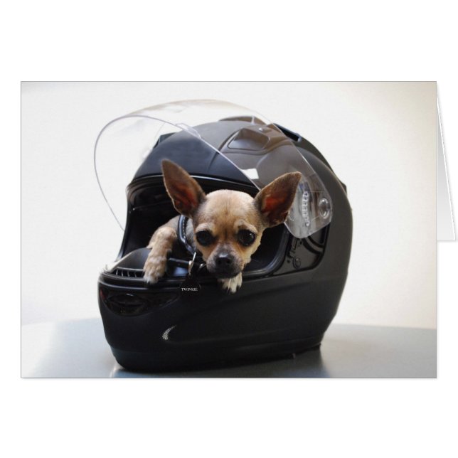 Motorcycle Chi (Front Horizontal)