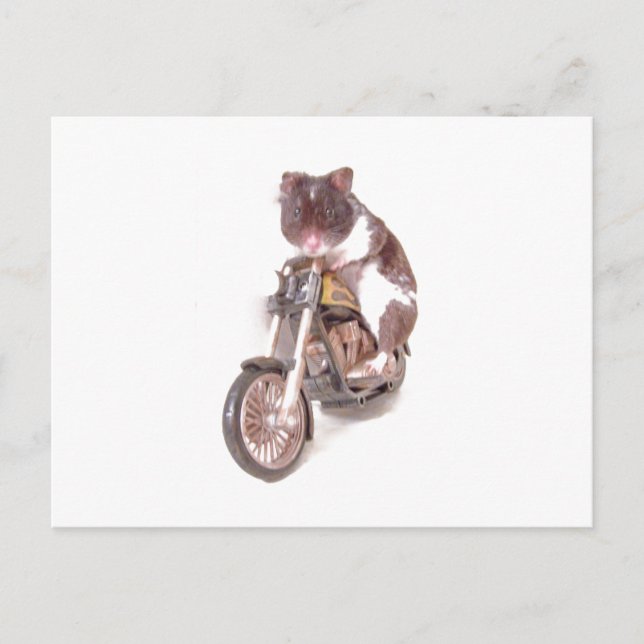 Motorcycle Hamster Postcard (Front)