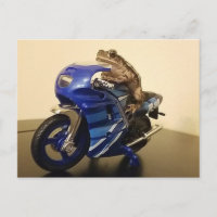 Motorcycle Toad