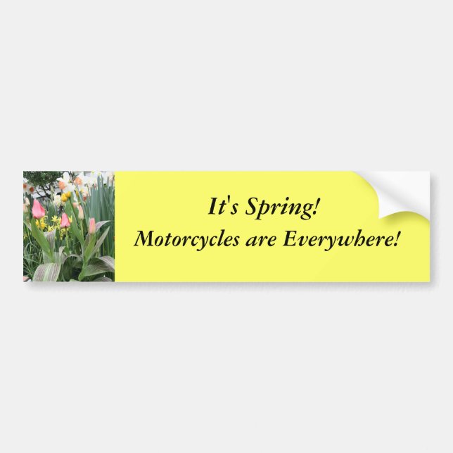 Motorcycles are everywhere bumper sticker (Front)