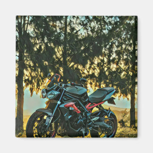 Motorcycles gift magnet