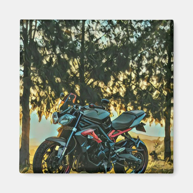 Motorcycles gift magnet (Front)
