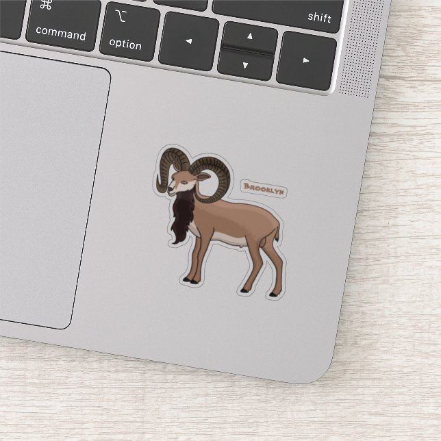 Mouflon goat illustration (Detail)