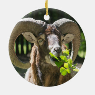 Mouflon Ram Ceramic Tree Decoration