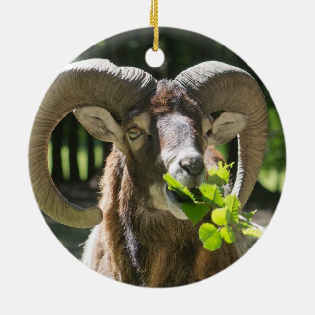 Mouflon Ram Ceramic Tree Decoration (Back)