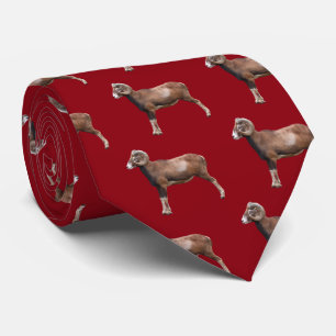 Mouflon Tie