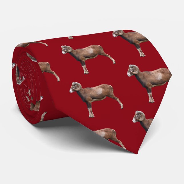 Mouflon Tie (Rolled)
