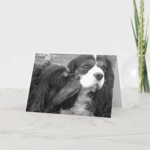 Moulder and Fjalar Cavalier King Charles Spaniels Card