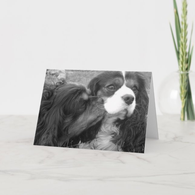 Moulder and Fjalar Cavalier King Charles Spaniels Card (Front)