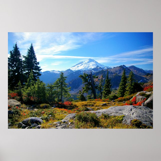 Mount Baker Poster (Front)