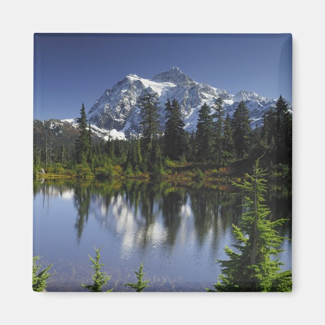 Mount Baker-Snoqualmie National Forest Magnet (Front)