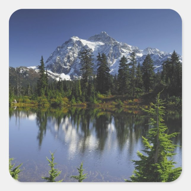 Mount Baker-Snoqualmie National Forest Square Sticker (Front)