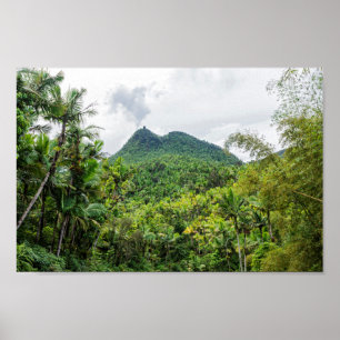 Mount britton and el yunque landscape poster