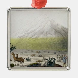 Mount Chimborazo, Ecuador, from 'Le Costume Ancien Metal Tree Decoration