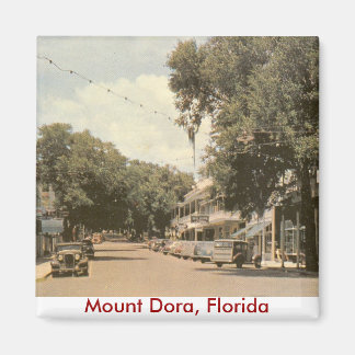Mount Dora, Florida Magnet