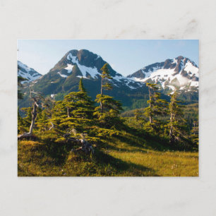 Mount Eccles near Cordova, Alaska Postcard