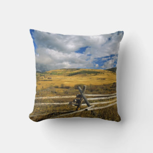 Mount Haggin NWR near Anaconda Montana Cushion