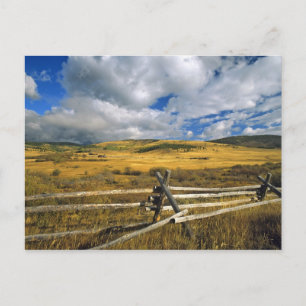 Mount Haggin NWR near Anaconda Montana Postcard