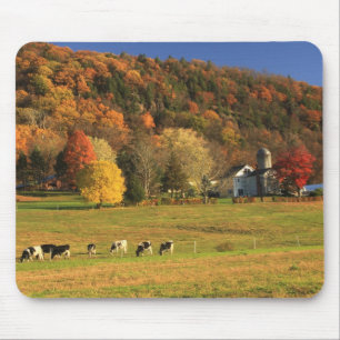 Mount Holyoke Farm in Autumn Mouse Pad