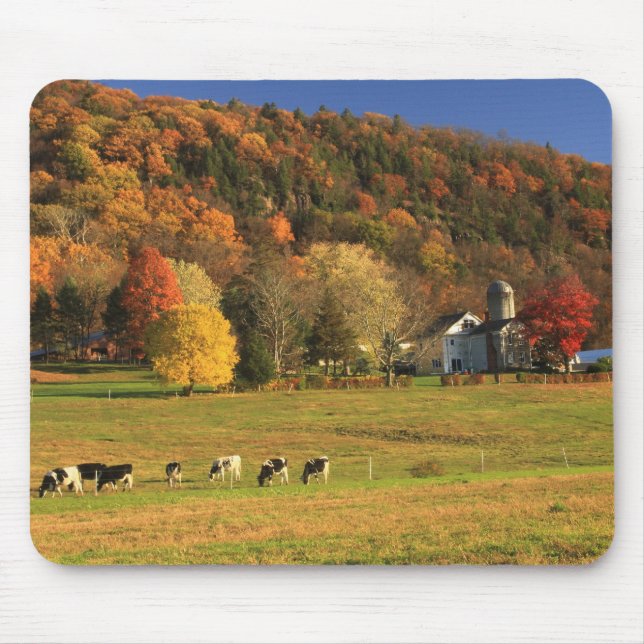 Mount Holyoke Farm in Autumn Mouse Pad (Front)