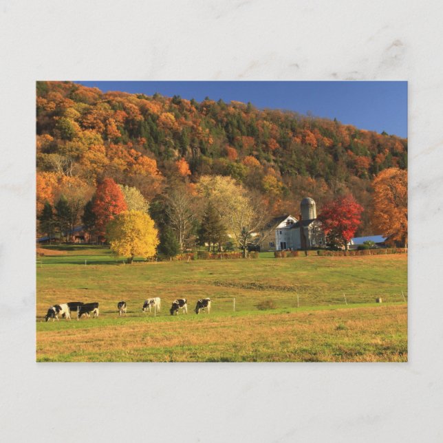 Mount Holyoke Farm in Autumn Postcard (Front)